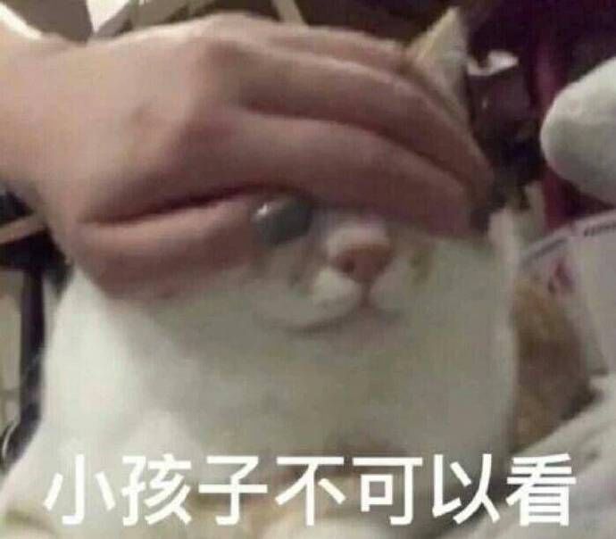 漂泊者还小,这些节奏看不得截图