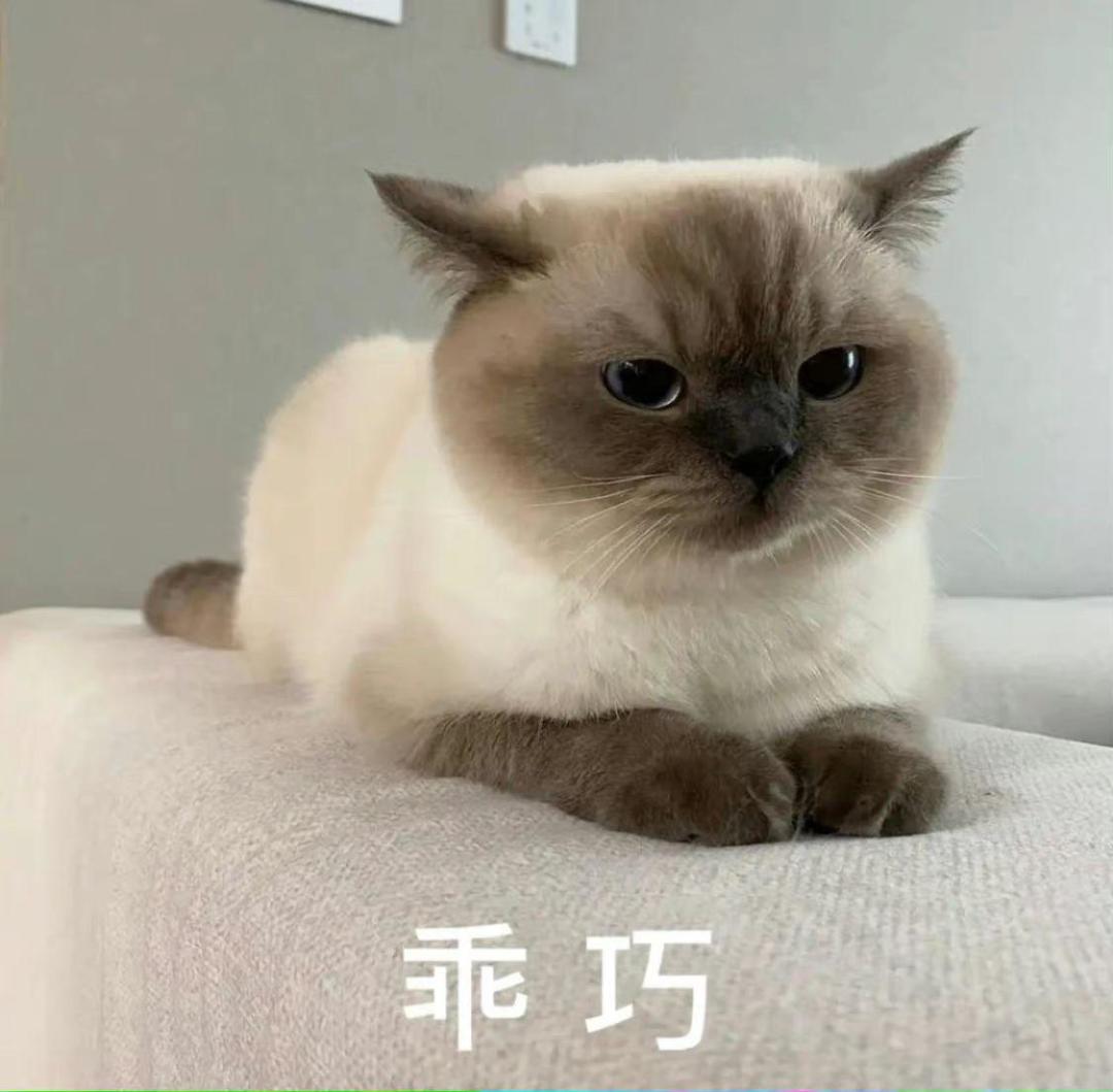 玩具怎么解锁呀 1