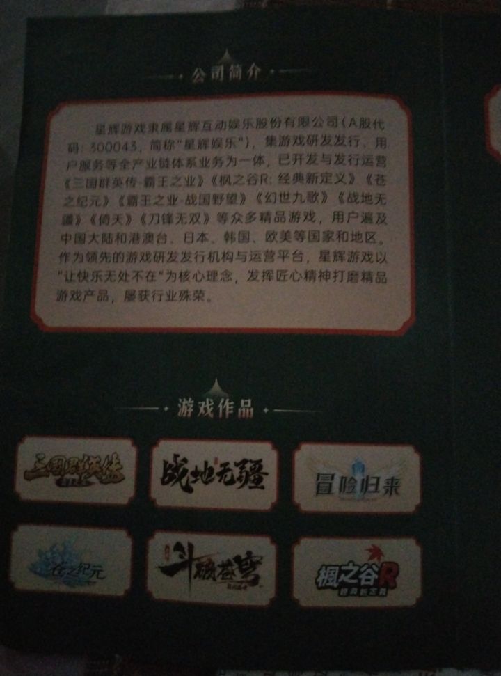 星辉游戏的招聘宣传，无少王截图