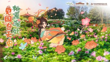 桃源×洛阳文旅丨国色盛放时，桃源深处见！