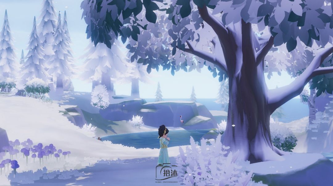 嬛嬛的摄影作品来喽 12