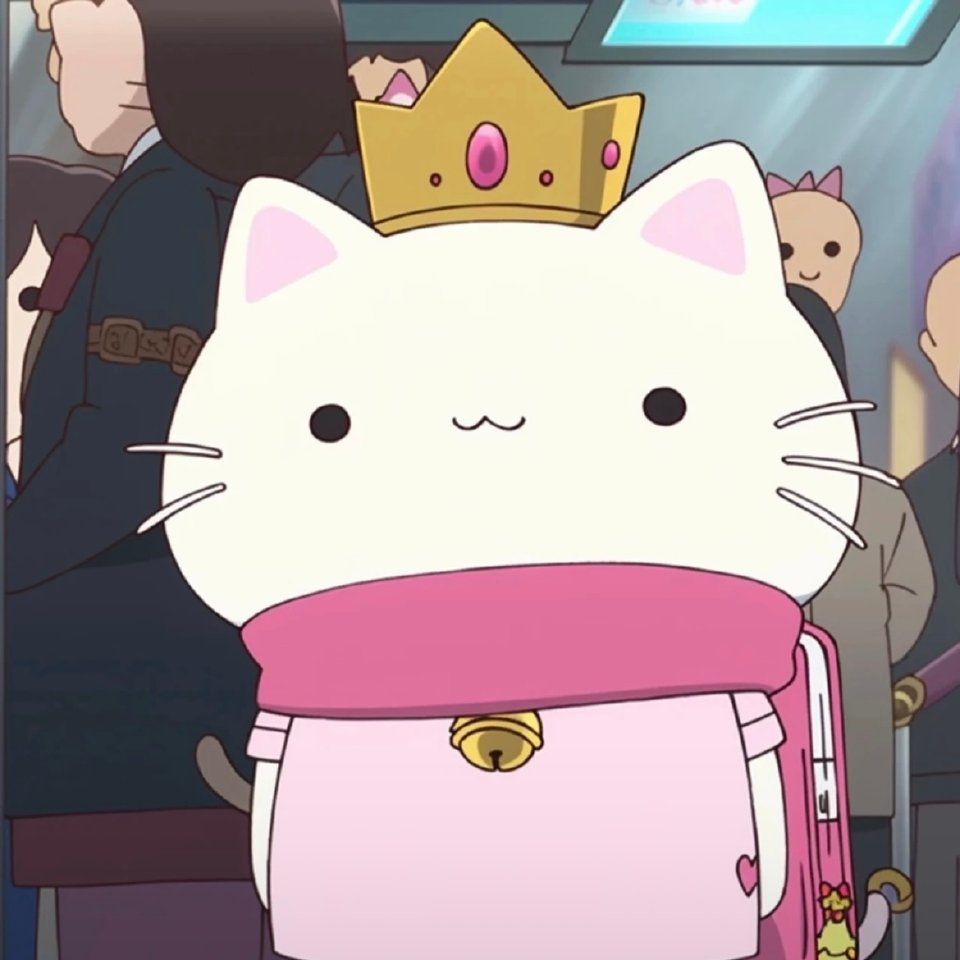 这个世界不能没有猫猫 1
