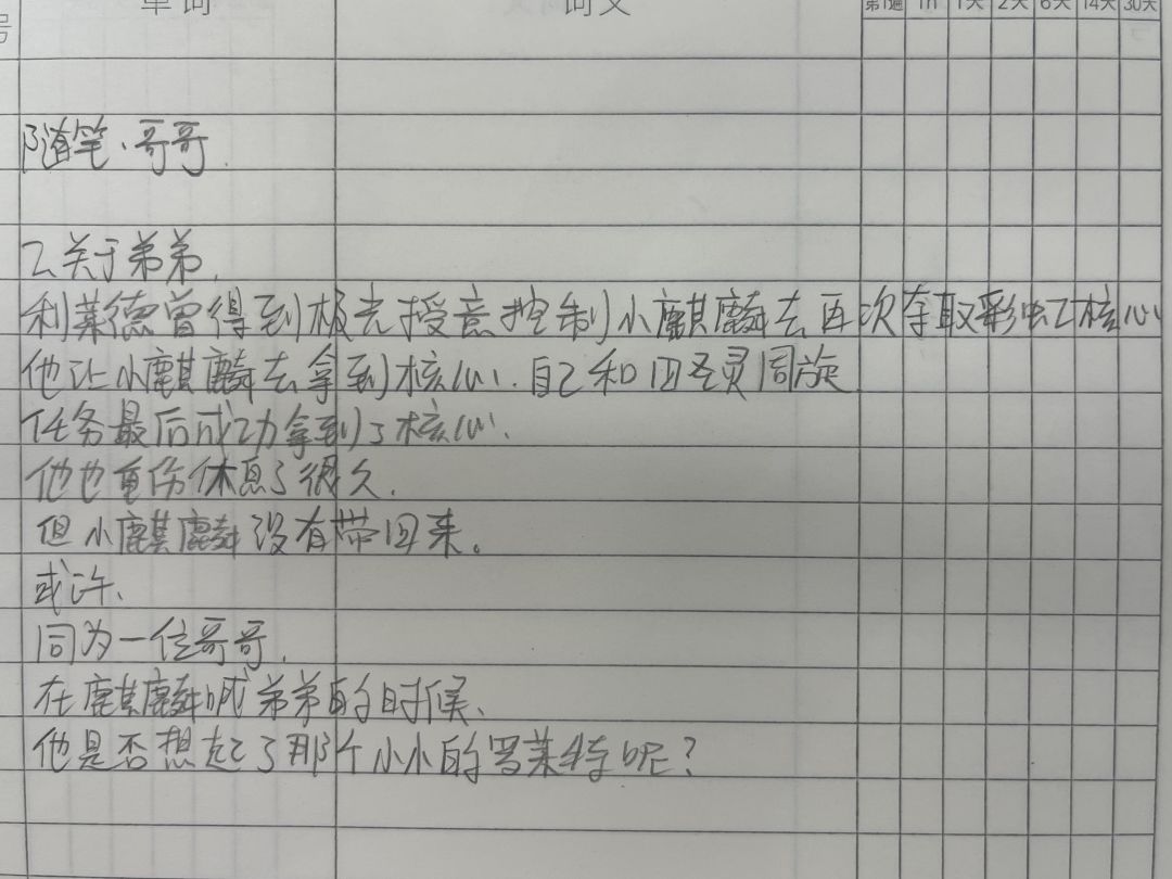 随笔·哥哥 2
