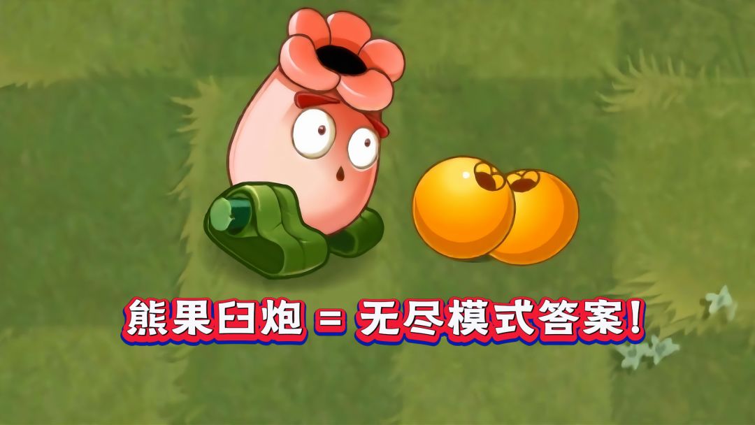 video-5098051