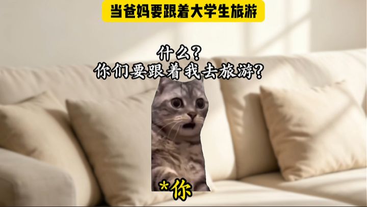 当爸妈要跟着大学生旅行截图