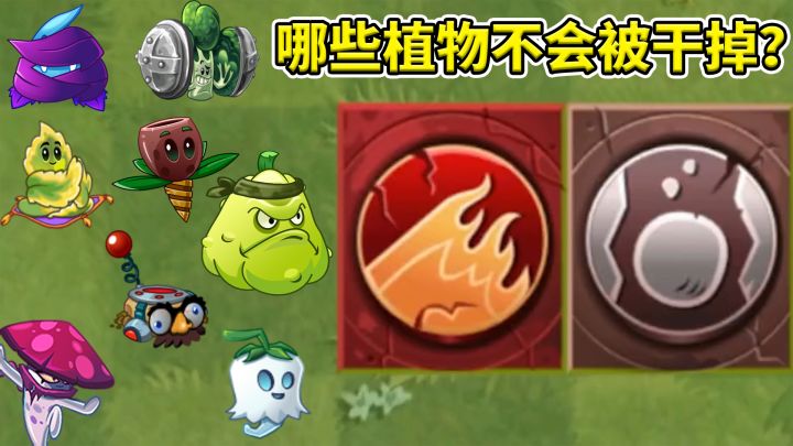 pvz2:哪些植物能够承受,火焰和滚石的双重打击?截图