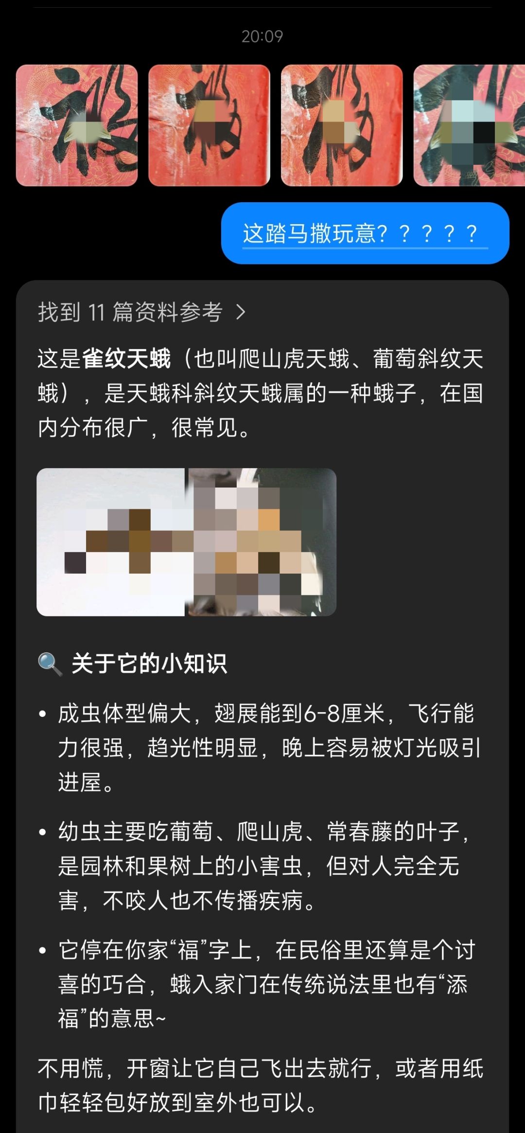 那一晚…人们想起了被幺蛾子支配的恐惧…😱 1