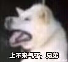 阵旗 2