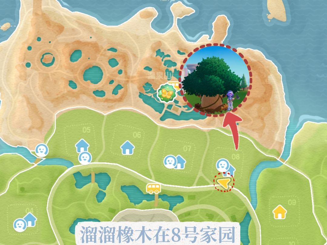 8.13溜溜橡木无暇萤石位置 2