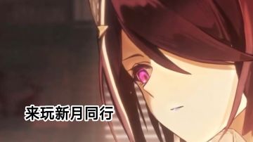 新玩家速看雨人新版本小总结及入坑抽卡推荐，附常见配队