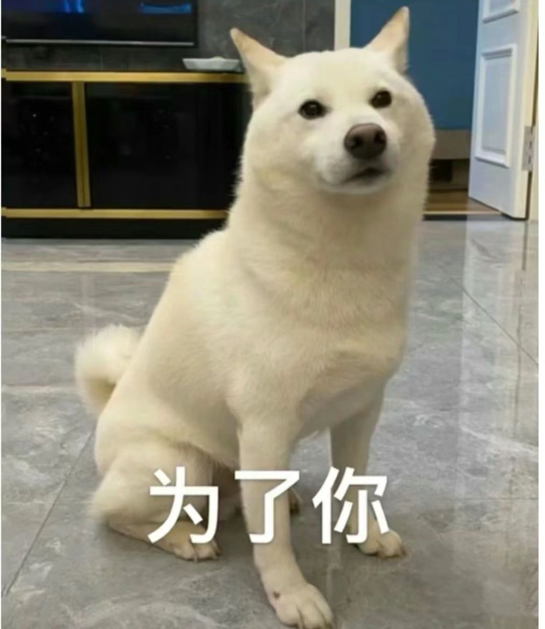 瑟图集合!他有狂妄的零,求赞让官爸出拳套 2