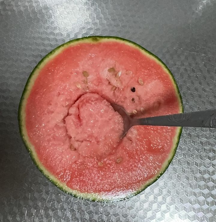 后续还会有宠物up吗截图