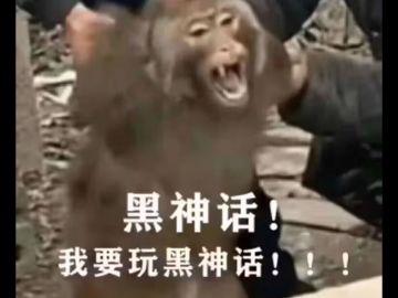 又进国区畅销前十，到底是谁还在买黑猴