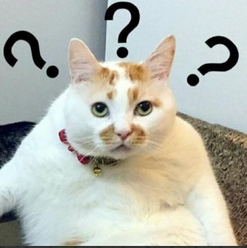 此时玩元梦的我，轻轻的碎掉了(-ｪ-)｡o