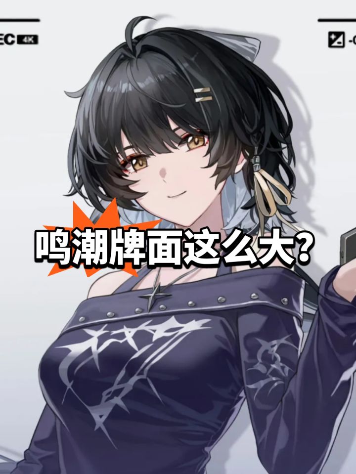 鸣潮牌面这么大?上华为发布会截图
