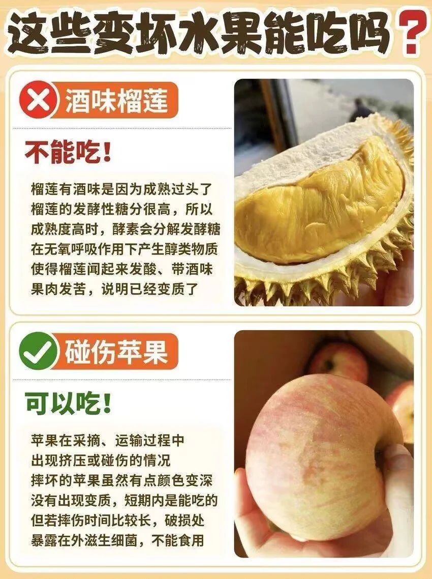 🌟青年大学习|辨别坏水果🌟 3