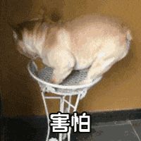 退游教总坛截图