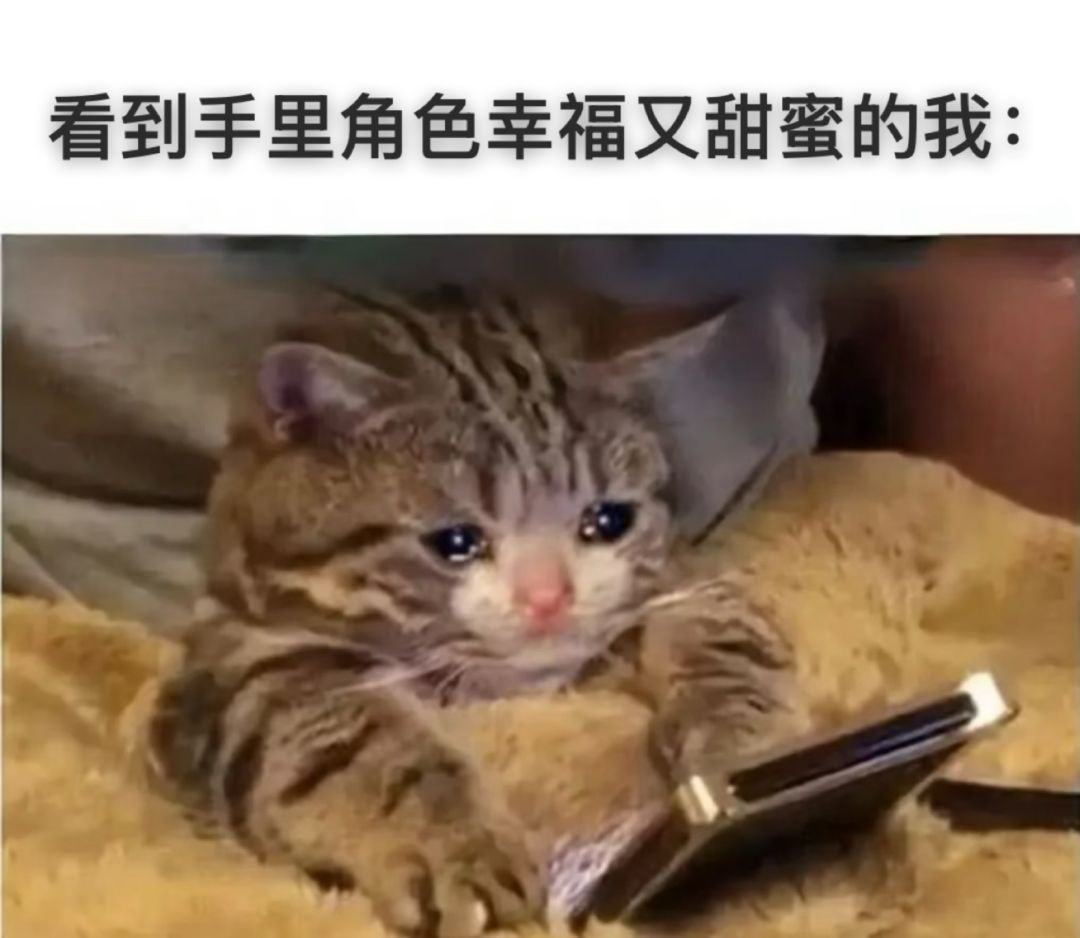 动态图片 8