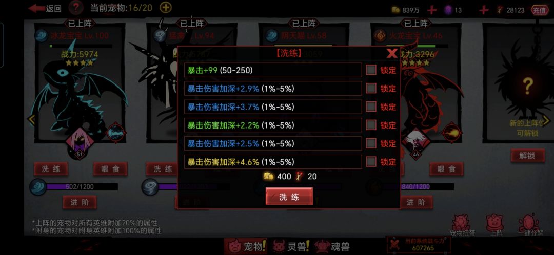 宠物洗练 2