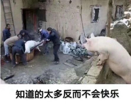 关于黑塔 1