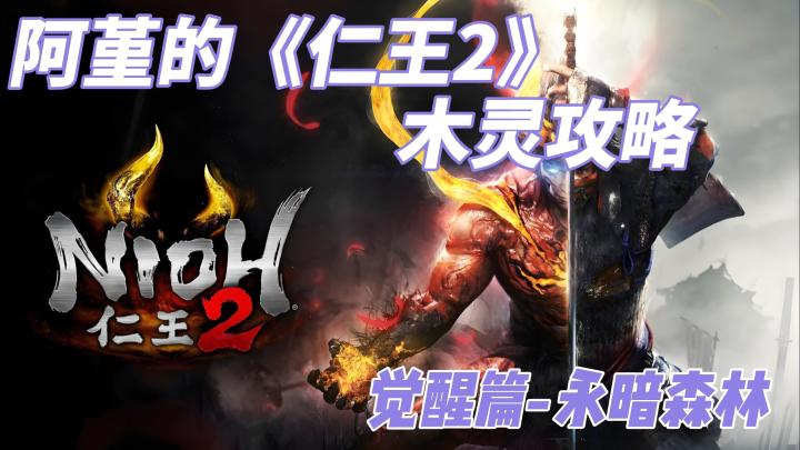 【阿堇攻略】阿堇的《仁王2》木灵攻略——觉醒篇 永暗森林截图