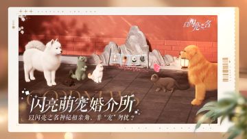 各位家长们，又到了万物复苏，毛球们谈恋爱的季节……