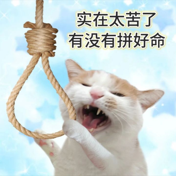 序列更新了吗，我看大家都在打装备，洗脉截图