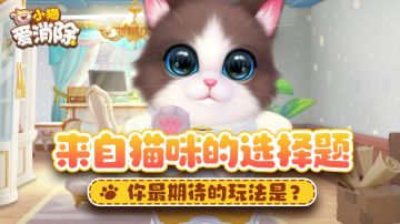 【话题】当萌猫来袭，你最期待的是什么？