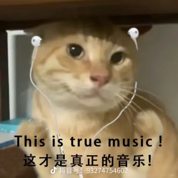 在圣地解锁后的凹boss小技巧分享