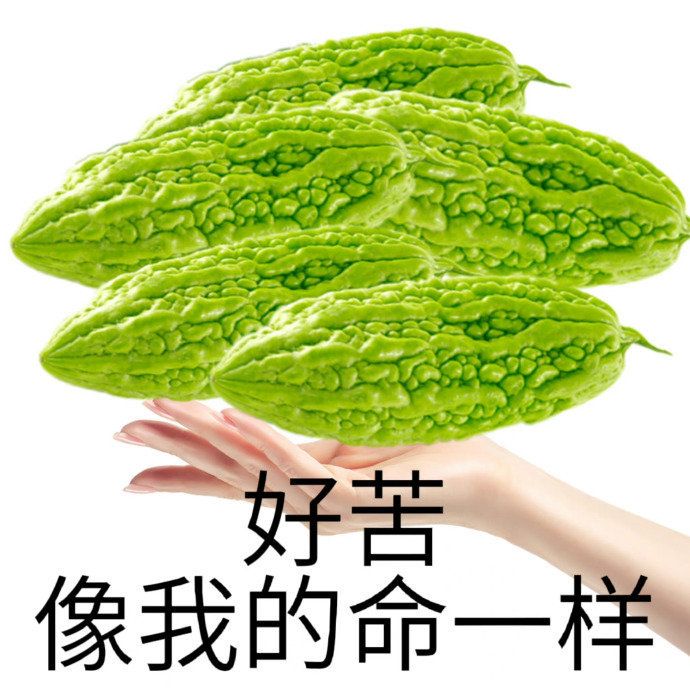 终于齐了 2