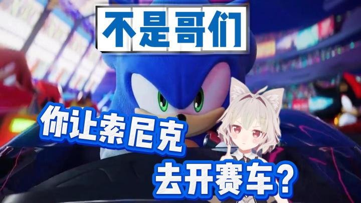 【索尼克赛车】咱就是说,索尼克不比车跑的快多了截图