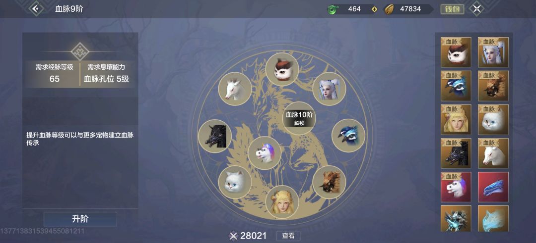 全网最穷十一万战力 3