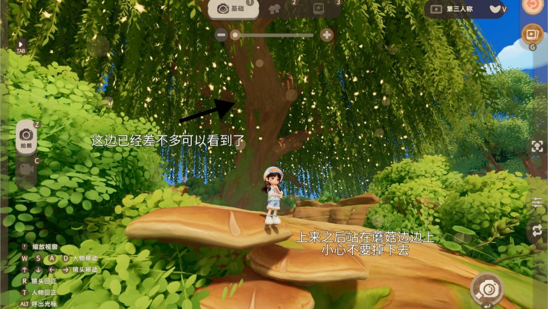 星花树|打卡点位分享 7