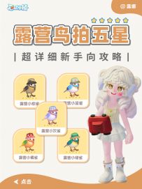 心动小镇 庆典露营鸟五星毕业攻略（超详细