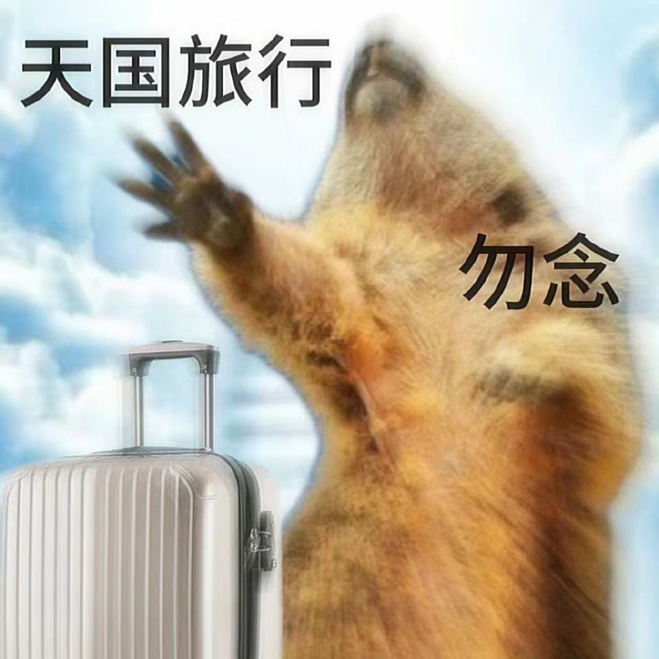 黑屏?骂一下。 1