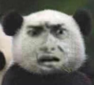 动态图片 4