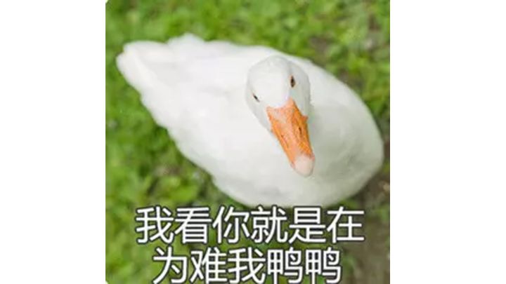奶某人开变形金刚怒锤鸭鸭截图