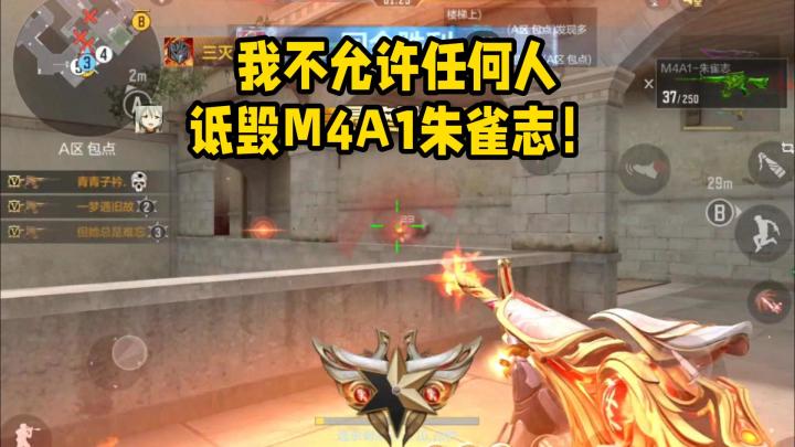 我不允许任何人诋毁M4A1朱雀志!截图