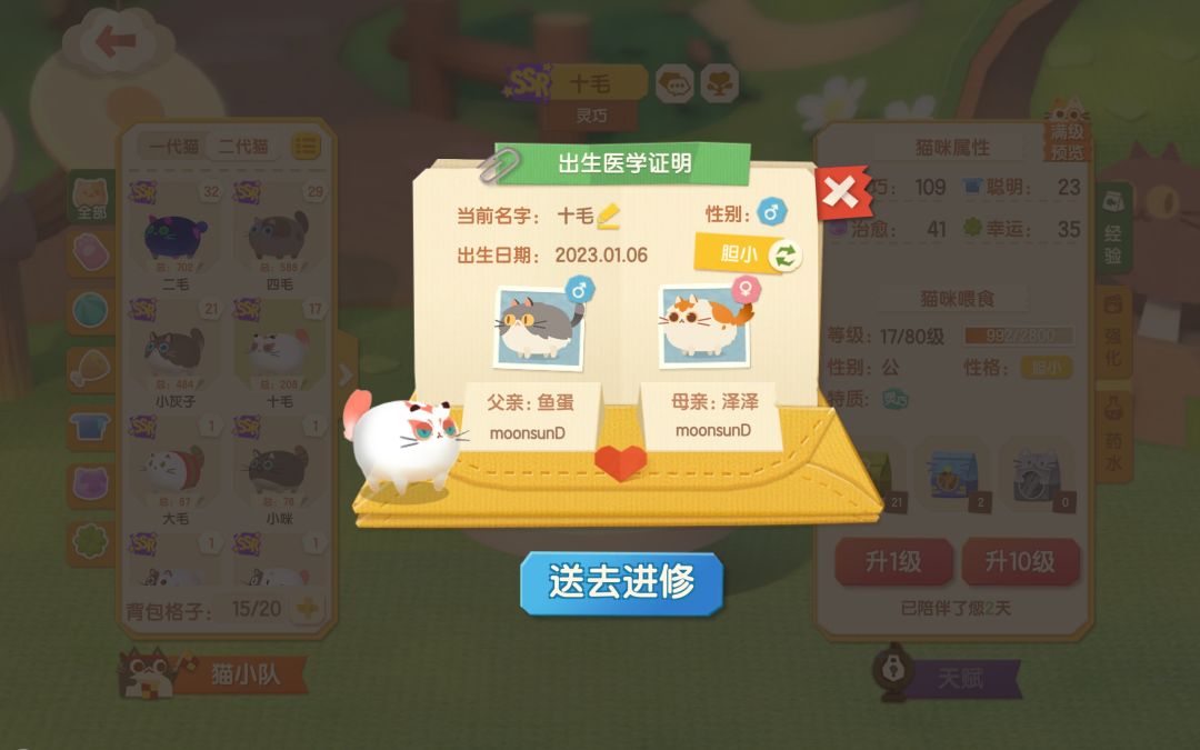 动态图片 5