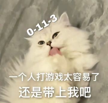 在你的心目中，什么样的队友最加分？