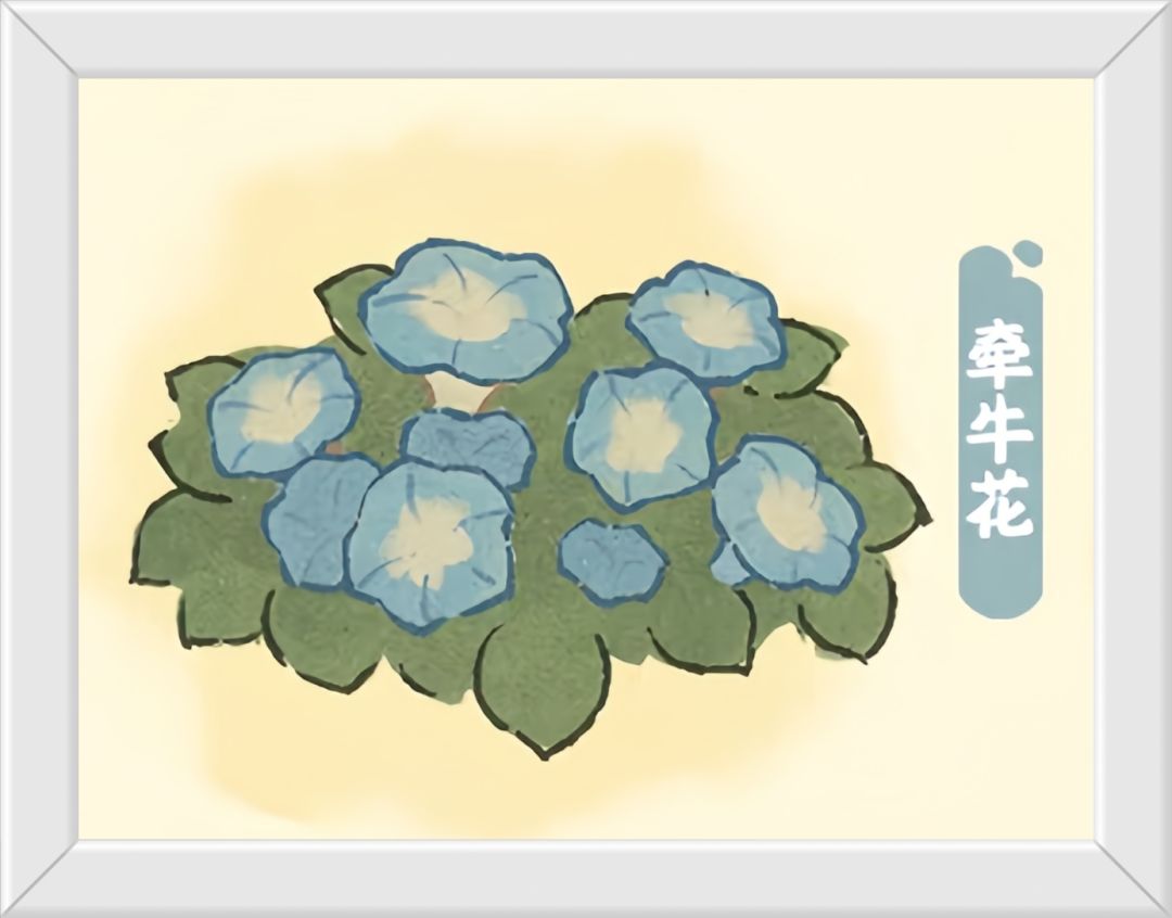 桃源花圃新花〔牵牛花、凤仙花〕上线预告! 2