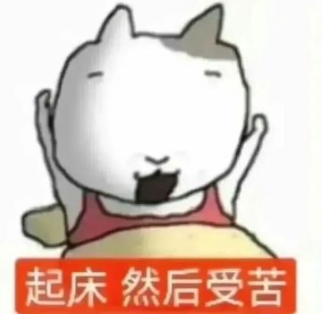 关于想玩安装包版本的朋友