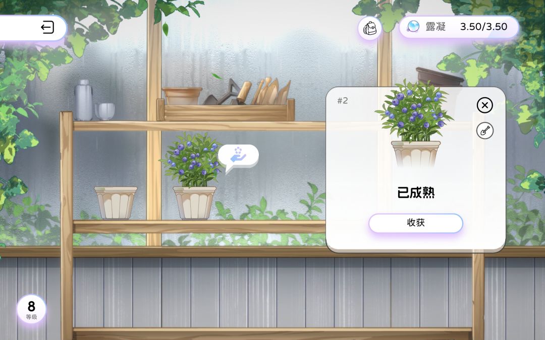 哇哦 1