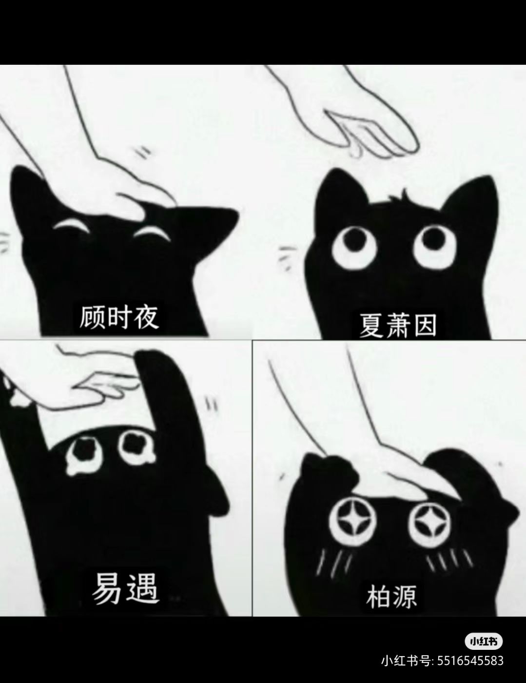 已经被迫变成emo推了呢 1
