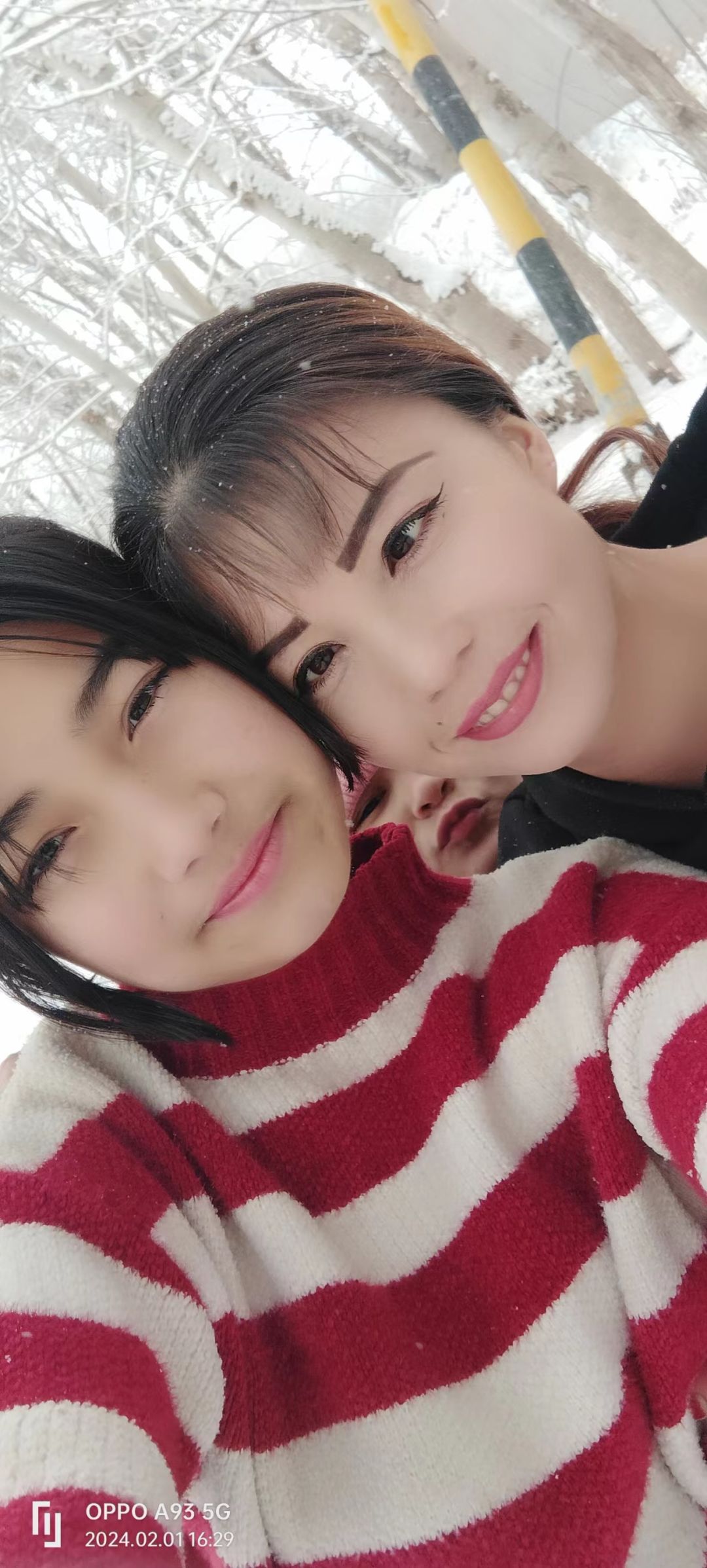 动态图片 6