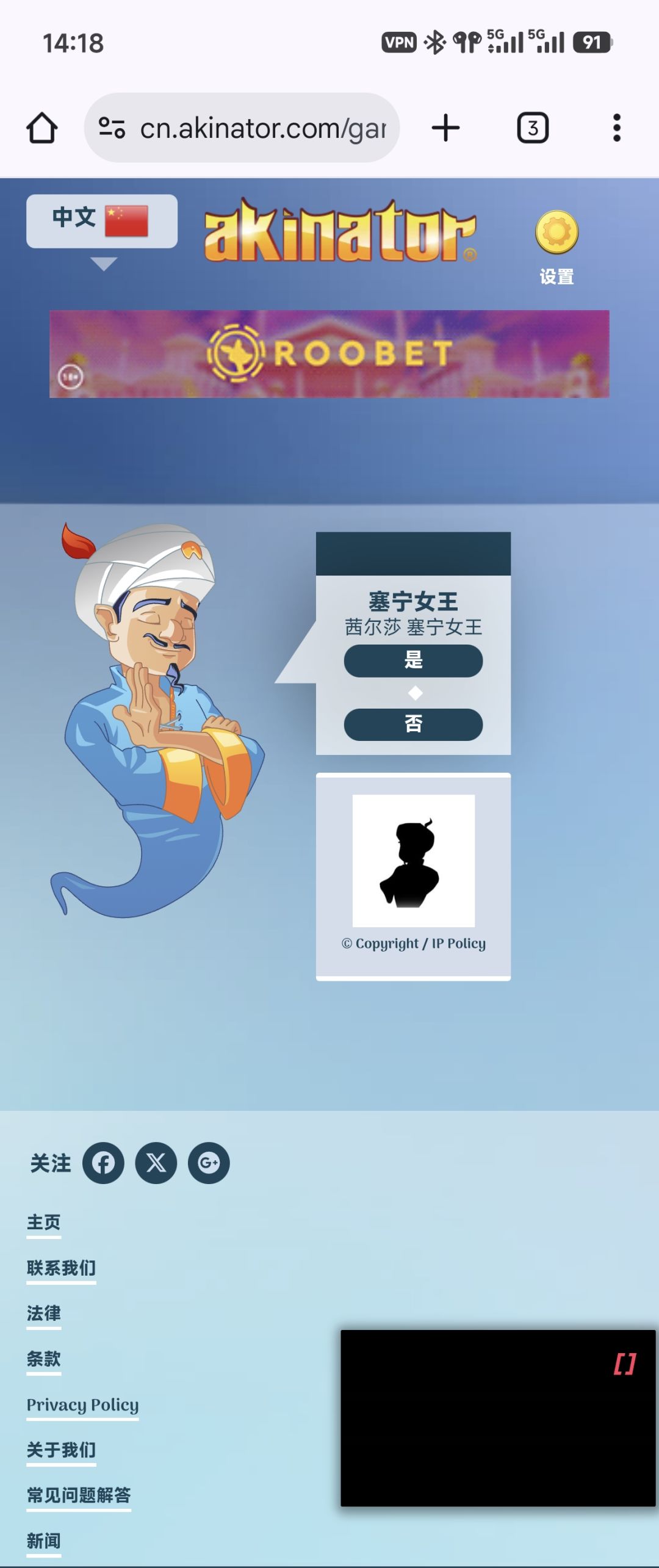 网络天才猜小公主 1