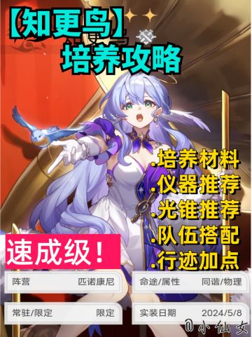 【星穹铁道】知更鸟培养攻略，速成