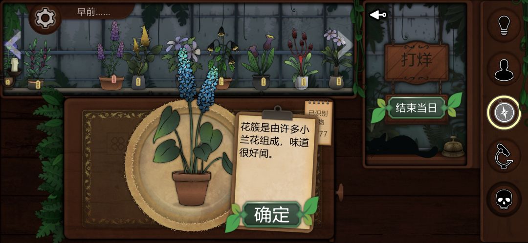 记录一些个人比较喜欢或觉得有意思的植物 4