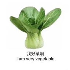 这样可以打新三王吗? 1
