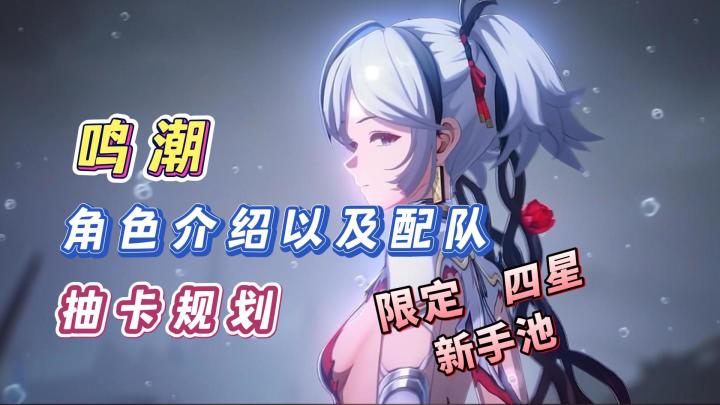 鸣潮最全角色攻略，全部5星角色和4星角色介绍！以及阵容搭配截图